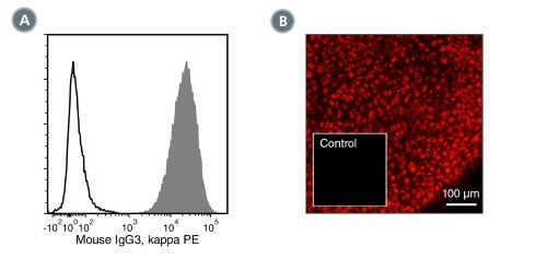 Data for PE-Conjugated