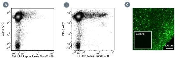 Data for Alexa Fluor® 488-Conjugated