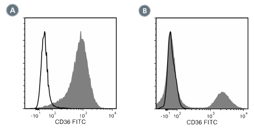 Data for Unconjugated