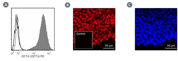 Data for PE-Conjugated