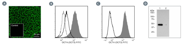 Data for Unconjugated