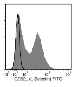 Flow Cytometry Analysis of C57BL/6 Mouse Splenocytes