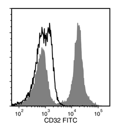 Flow cytometry analysis of human peripheral blood mononuclear cells (PBMCs) labeled with Anti-Human CD32 Antibody, Clone FLI8.26, FITC