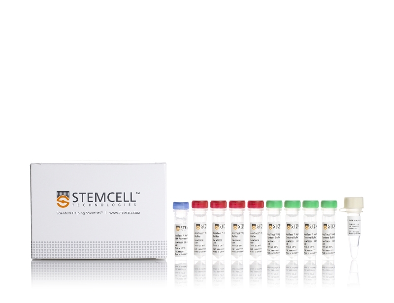 ArciTect™ High-Fidelity DNA Polymerase Kit