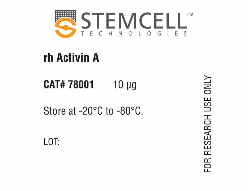 Human Recombinant Activin A