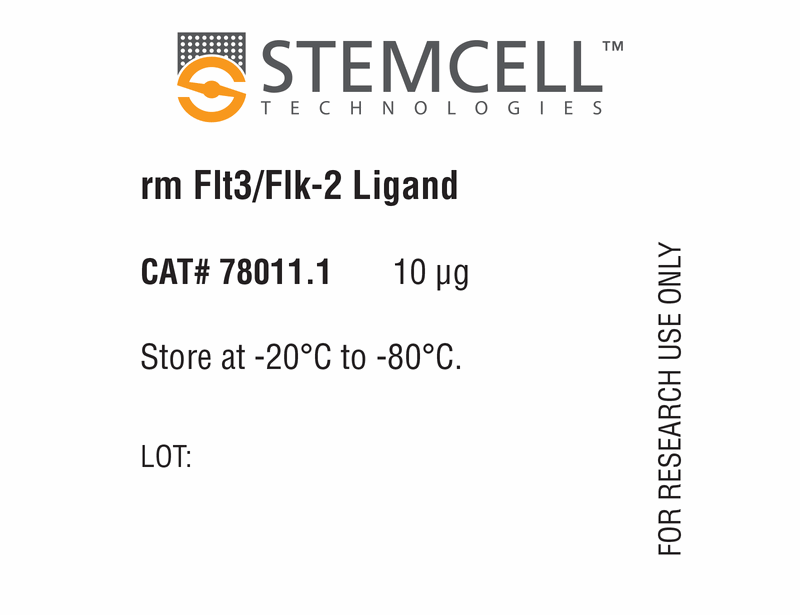 Mouse Recombinant Flt3/Flk-2 Ligand