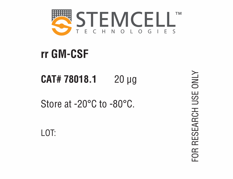 Rat Recombinant GM-CSF