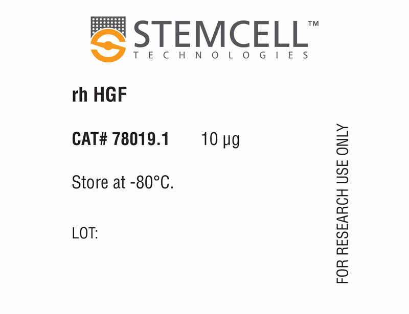 Human Recombinant HGF