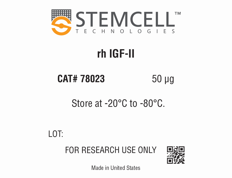 Human Recombinant IGF-II