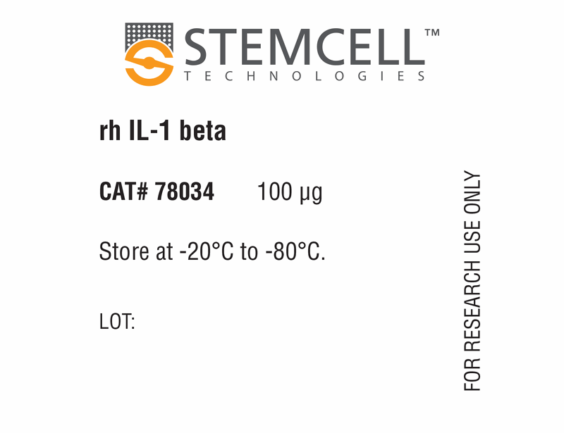 Human Recombinant IL-1 beta