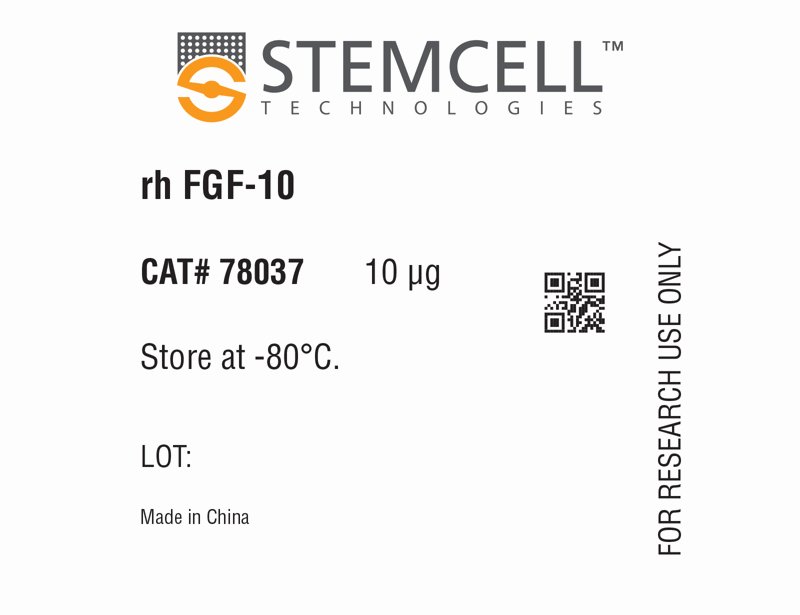 Human Recombinant FGF-10 (KGF-2)