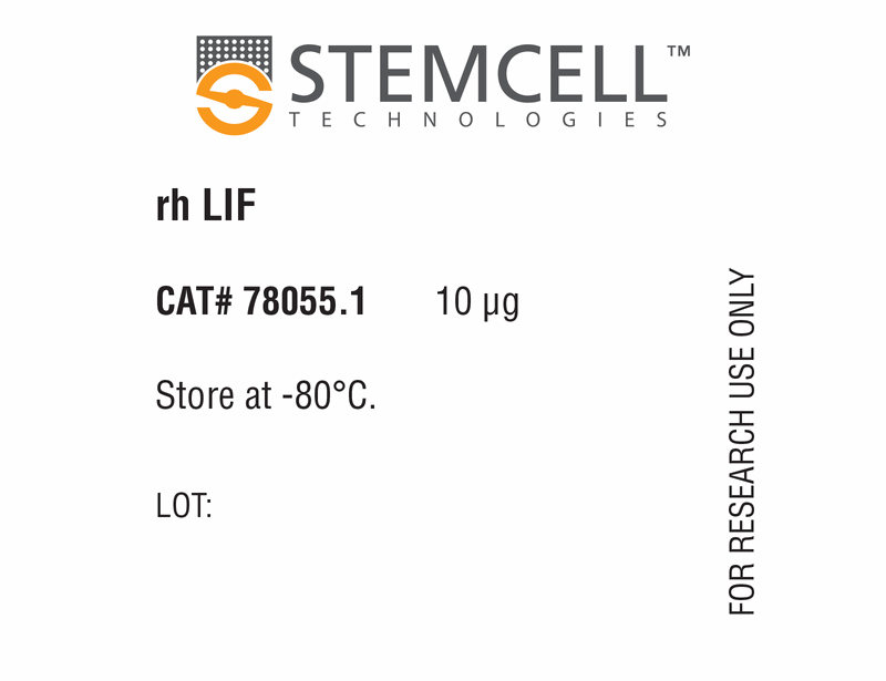 Human Recombinant LIF