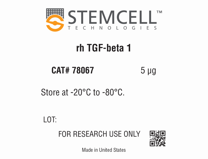 Human Recombinant TGF-beta 1