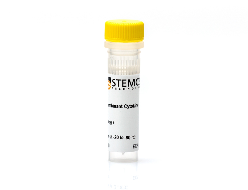 Human Recombinant Prolactin