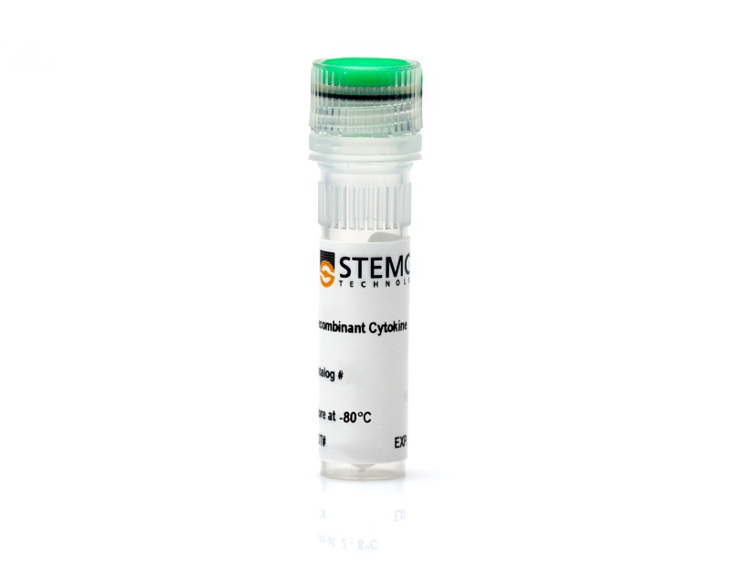 Mouse Recombinant FGF-21