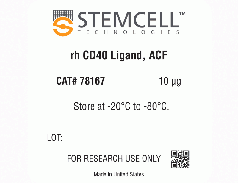 Human Recombinant CD40 Ligand, ACF