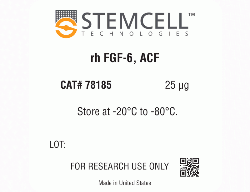 Human Recombinant FGF-6, ACF