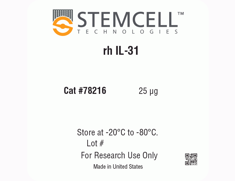 Human Recombinant IL-31