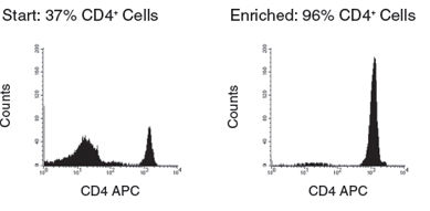 PBMC recovery from fresh whole blood using SepMate™-50 versus standard density gradient centrifugation. Graph also shows PBMC recovery from a 48 hour-old sample using SepMate™. n in each group = 7