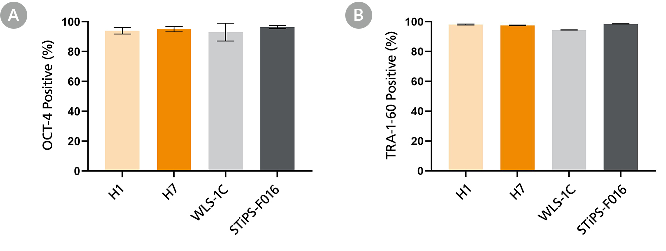 Percentage of OCT-4 and TRA-1-60 positive cells in human ES and iPS TeSR™-E8™3D suspension cultures