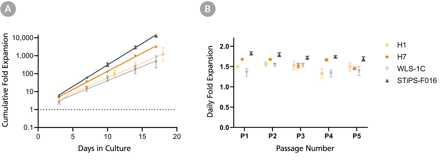 Expansion of human pluripotent stem cells (ESC and iPSC) in TeSR™-E8™3D suspension culture