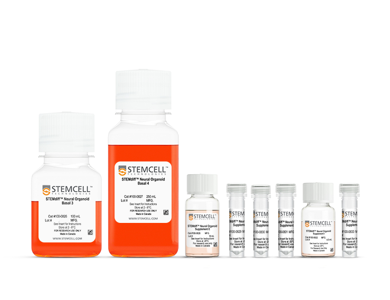 新产品发布：STEMdiff™ 脉络从类器官分化和维持培养试剂盒 