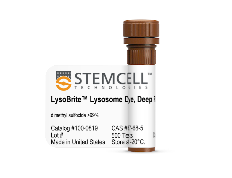 LysoBrite™ Lysosome Dyes